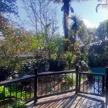 Pantera Lodge & Cheetah Cottage Johannesbourg Extérieur photo