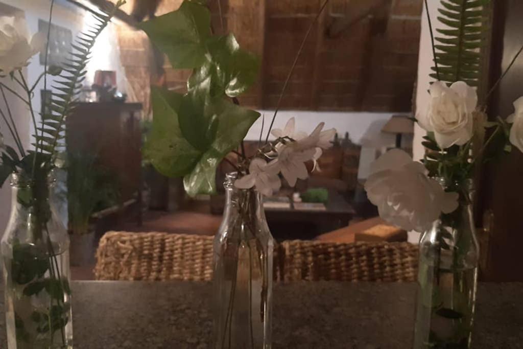 Pantera Lodge & Cheetah Cottage Johannesbourg Extérieur photo