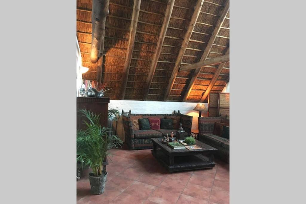 Pantera Lodge & Cheetah Cottage Johannesbourg Extérieur photo