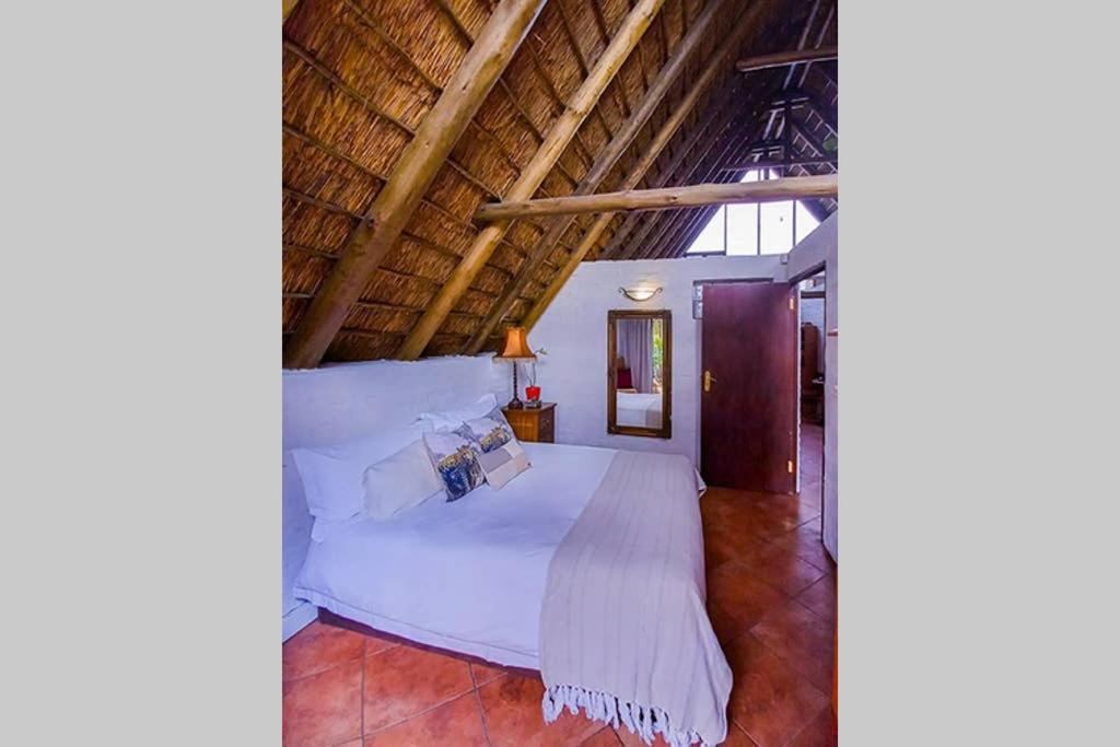 Pantera Lodge & Cheetah Cottage Johannesbourg Extérieur photo