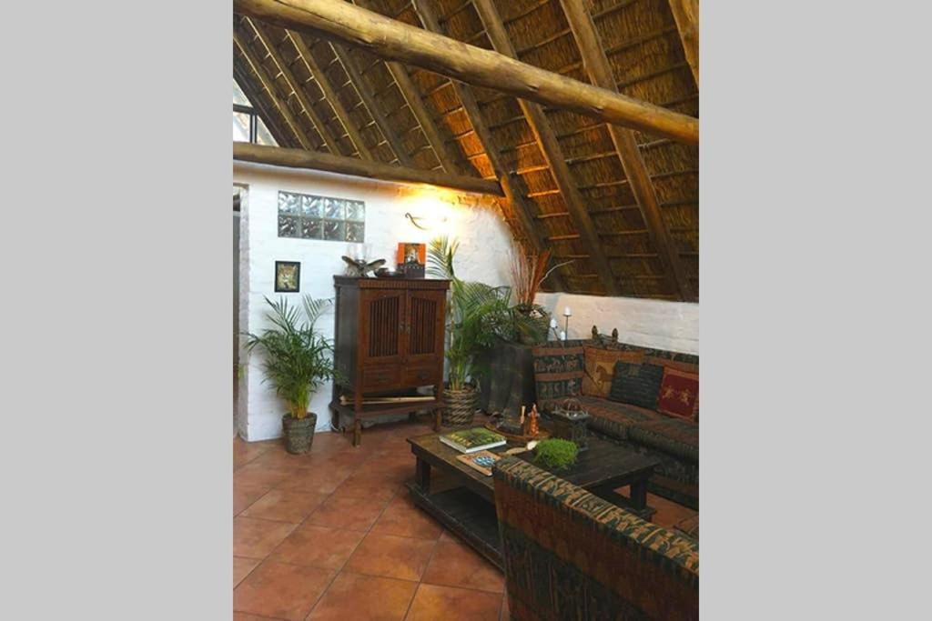 Pantera Lodge & Cheetah Cottage Johannesbourg Extérieur photo