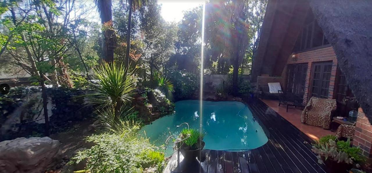 Pantera Lodge & Cheetah Cottage Johannesbourg Extérieur photo