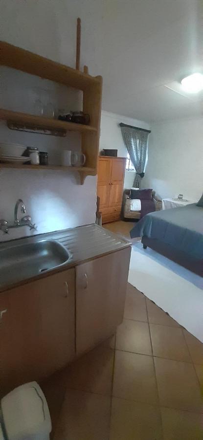 Pantera Lodge & Cheetah Cottage Johannesbourg Extérieur photo