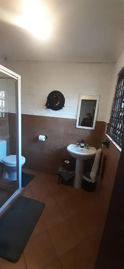 Pantera Lodge & Cheetah Cottage Johannesbourg Extérieur photo